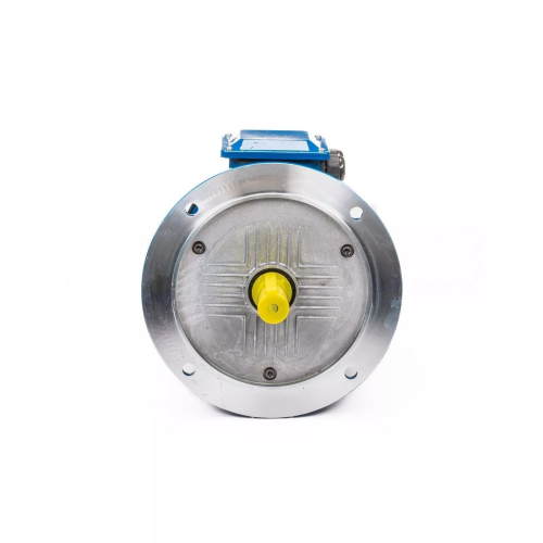5АИ 100 L2 5.5/3000 IM3081